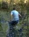 PIC00284