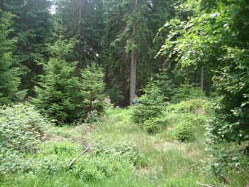 Kirmesfahrt 2008 (027)
